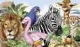 /album/fotogaleria/animales-jpg/